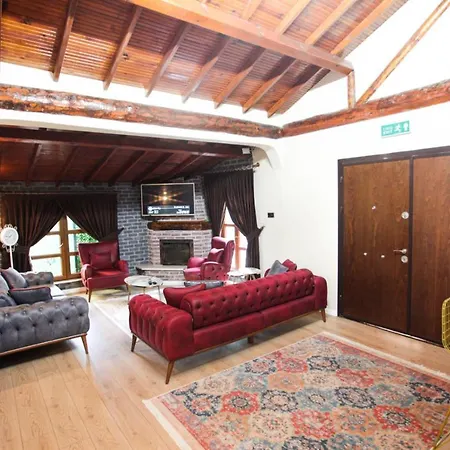 Villa Fascinating Villa With Pool And Jacuzzi Surrounded By Nature In Sapanca *