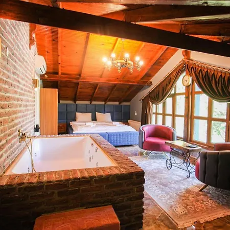 Fascinating Villa With Pool And Jacuzzi Surrounded By Nature In Sapanca